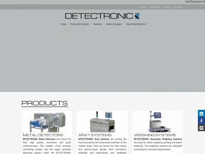 detectronic-india.com snapshot