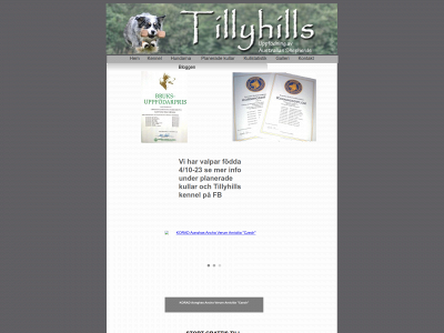 tillyhills.se snapshot