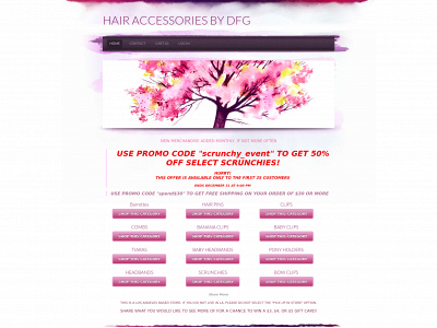 hairaccessoriesbydfg.weebly.com snapshot
