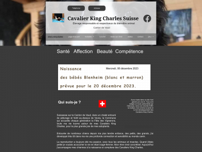cavalier-king-charles-suisse.ch snapshot