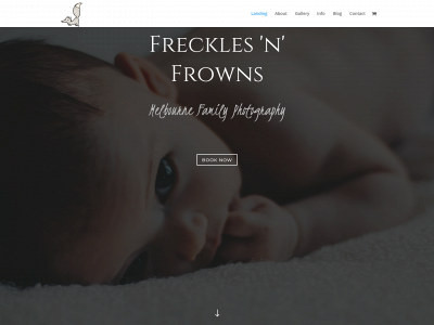 frecklesnfrowns.com snapshot