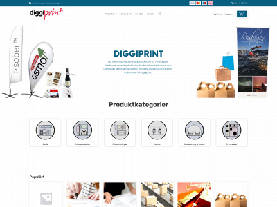 diggiprint.com snapshot