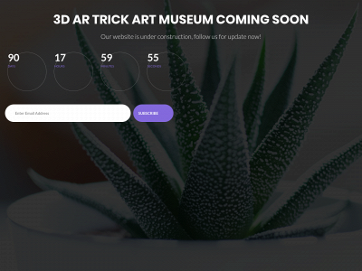 trickartmuseums.com snapshot