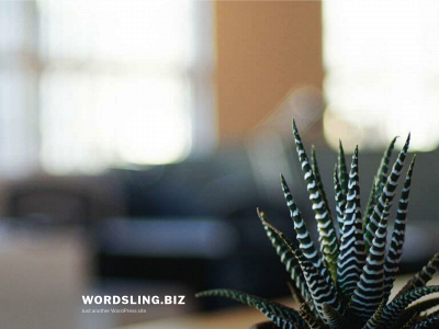 wordsling.biz snapshot