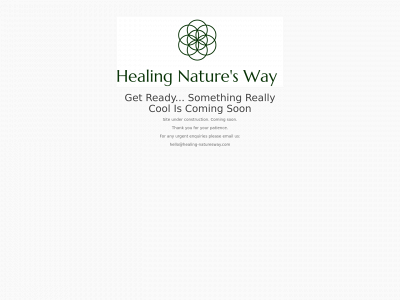 healing-naturesway.com snapshot