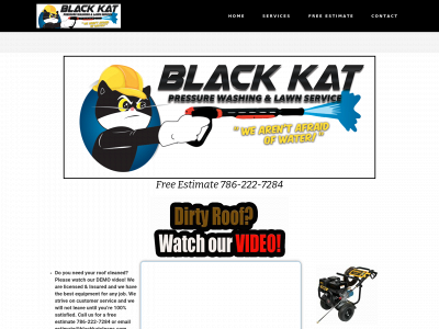 blackkatcleans.com snapshot