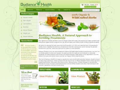 budiancehealth.com snapshot