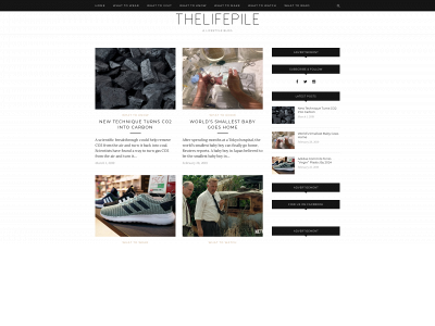 thelifepile.com snapshot