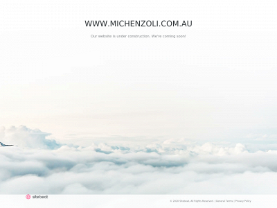 www.michenzoli.com.au snapshot