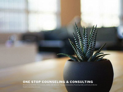 onestop-counseling.com snapshot