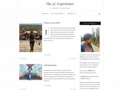 the4cexperience.com snapshot