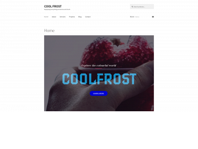 coolfrost.co.za snapshot