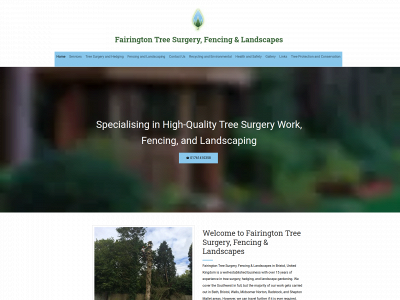 fairingtontreesurgery.co.uk snapshot