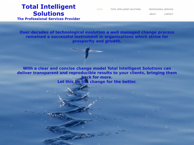 totalintelligentsolutions.com snapshot