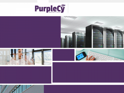 purplecy.com snapshot