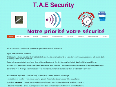 www.taesecurity.org snapshot