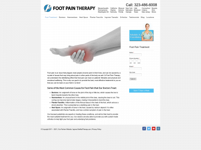footpaintherapy.com snapshot