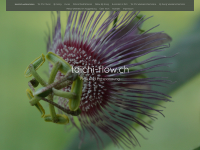taichi-flow.ch snapshot