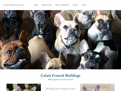 calaisfrenchbulldogs.online snapshot