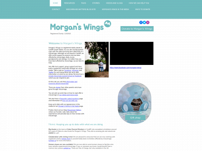 morgans-wings.co.uk snapshot