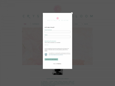 crystalinbloom.com snapshot