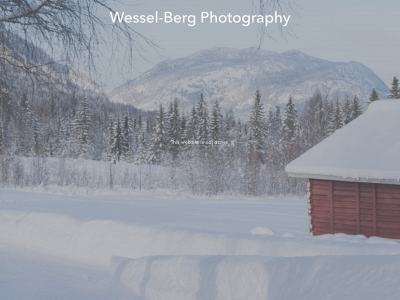 wessel-berg-photography.com snapshot