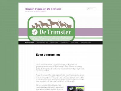detrimster.nl snapshot