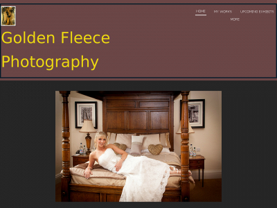 goldenfleecephotography.co.uk snapshot