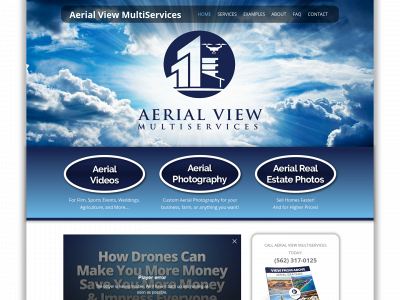 aerialviewmultiservices.com snapshot