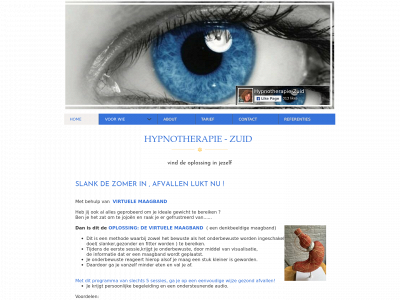 hypnotherapie-zuid.nl snapshot