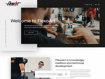 flexoart.biz snapshot