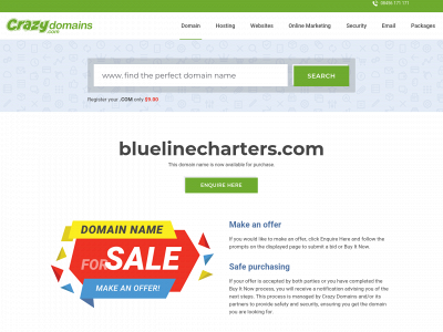 bluelinecharters.com snapshot