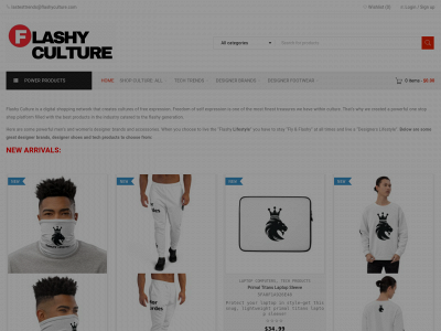 flashyculture.com snapshot