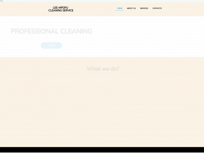 lee-mphofucleaningservices.co.za snapshot