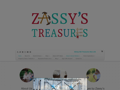 zassystreasures.com snapshot
