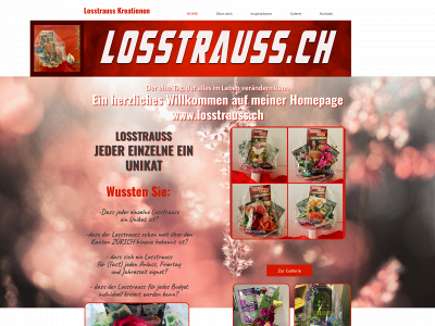 losstrauss.ch snapshot