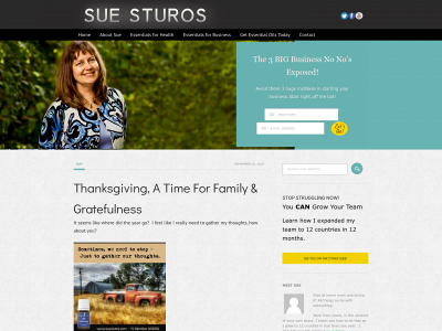 suesturos.com snapshot