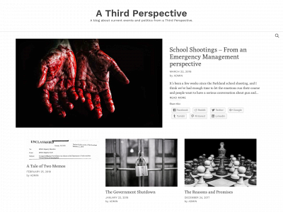 thirdperspectiveblog.com snapshot