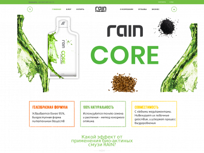 rain-project.info snapshot