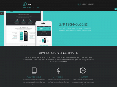 zap-technologies.com snapshot