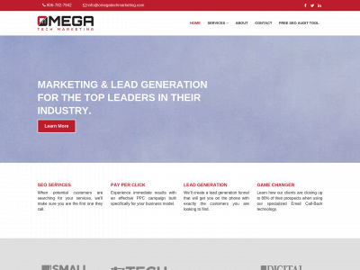 omegatechmarketing.com snapshot