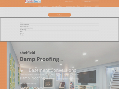 dampproofing.co snapshot