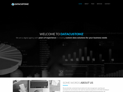 datacustomz.com snapshot