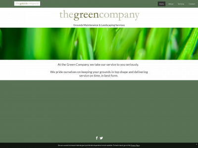 thegreencompany.co.uk snapshot