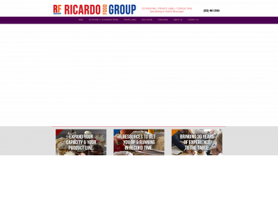 ricardofoodgroup.com snapshot