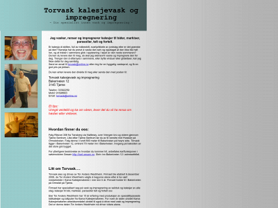 torvask.no snapshot