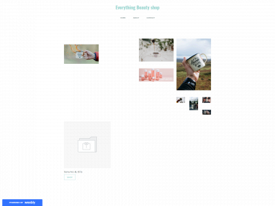 everything-ly.weebly.com snapshot