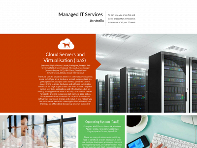 managedservices.space snapshot