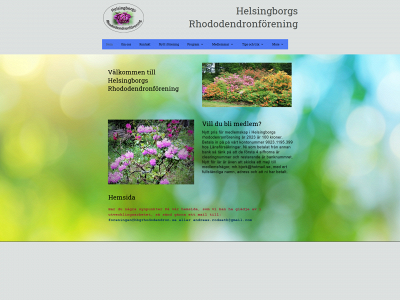 hbgrhododendron.se snapshot