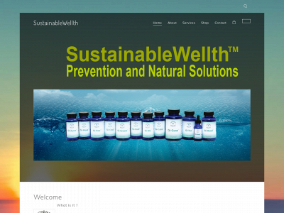 www.sustainablewellth.org snapshot